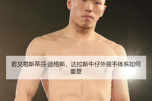 若交易斯蒂芬·迪格斯，达拉斯牛仔外接手体系如何重塑
